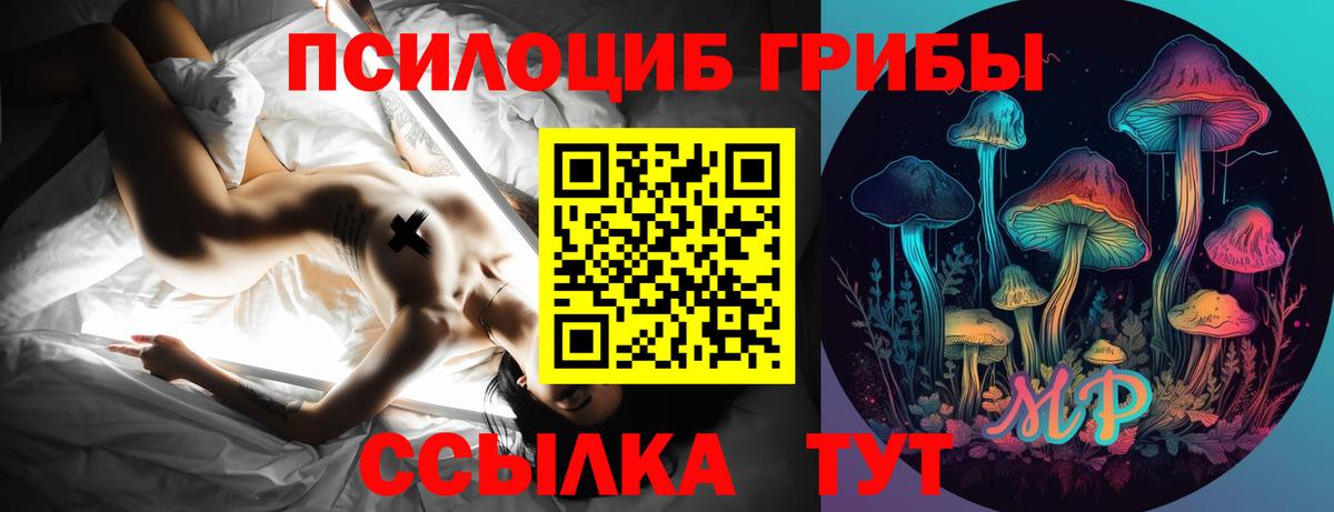 купить наркоту  Вход с VPN  Петропавловск-Камчатский  Галлюциногенные грибы Psilocybe 